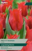 Taylors 7 Tulip Pretty Woman 11-12 image