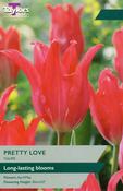 Taylors Tulip Pretty Love image