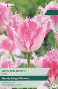 Taylors Tulip Huis Ten Bosch