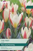 Taylors Tulip The First image