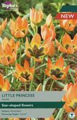 Taylors 9 Tulip Little Princess image
