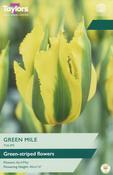 Taylors Tulip Green Mile
