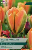 Taylors 9 Tulip Orange Marmalade image