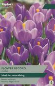 Taylors 10 Crocus Flower Record