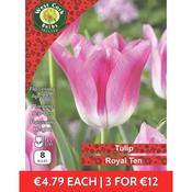 Tulip Triumph Royal Ten 8 bulbs prepack