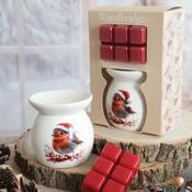 Wax Melts &amp; Tealight Melter Set – Robin image