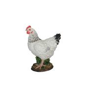 Black/White Summer Hen