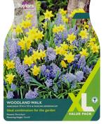 Taylors Woodland Walk XL