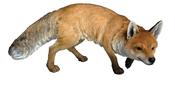 67CM Vivid Arts Real Life Prowling Fox