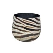 Zebra Houseplant Pot