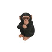 Real Life Baby Chimpanzee