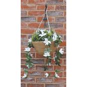 Star Lilies Hanging Basket 30cm image