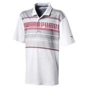 Puma Boys Polo  Shirt Small Youths High Risk Red image