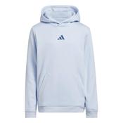 adidas Unisex Jnr Graphic Hoodie 9-10Y Crystal Sky