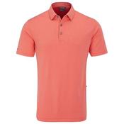 Ping Gents Hershel Polo Small Dubarry Multi image