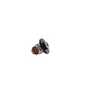 YAMAHA THERMOSTAT 6FM-12411-00 image