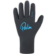 PALM HIGH TEN GLOVES image