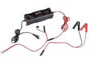 TALAMEX SMART BATTERY CHARGER FOR 12V AND 24V BATTERIES image