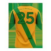 McKvr Faughs GAA Numbered Playing Jersey - Adult - Amber Player Fit