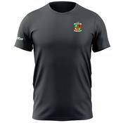 McKvr Madrid Harps GAA Core Pro Cotton Tee - Adult - Charcoal image