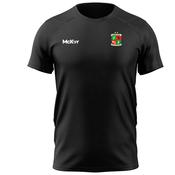 McKvr Madrid Harps GAA Core Pro Tech Tee - Youth - Black image