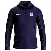 McKvr An Ghaeltacht GAA Core Pro 1/4 Zip Hoodie - Adult - Navy