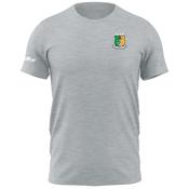 McKvr Moyne Templetuohy GAA Core Pro Cotton Tee - Adult - Light Grey image