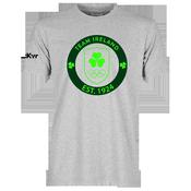 McKvr Team Ireland Big Logo Tee - Adult - Grey image