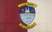 Mc Keever Sports Westmeath County GAA Flags