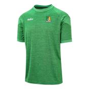McKvr Moyne Templetuohy GAA Core 22 T-Shirt - Youth - Green image