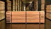 1" White American Oak KD Random 4" &amp; Wider (Quercus alba)