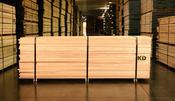 2.5" Steamed Beech KD Random 4" &amp; Wider (Fagus sylvatica) image
