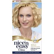 Clairol Nice N Easy Extra Light Beige Blonde 10B image