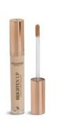 Sculpted Brighten Up Concealer Golden image
