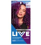 LIVE Colour Moment Purple Punk 094 image