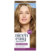 Clairol Nice N Easy Medium Ash Blonde 811/73 image