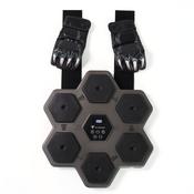 Hit Boxing Wall-Mounted Music Reaction Trainer image