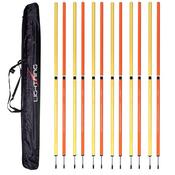 Lightning Boundary Pole Set | 12 with Bag