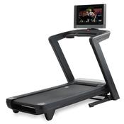 NordicTrack 2450 Treadmill image