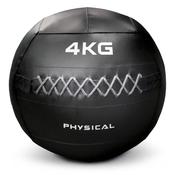 Physical Company Wall Ball | 4kg image