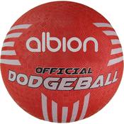 Albion Official Dodgeball | 8.5 inch