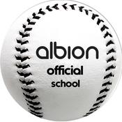Albion School NRA Rounders Ball