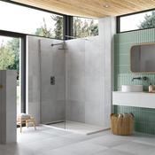 Ayo 8mm Wetroom 500mm Silver