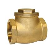1" Swing Check Valve