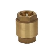 1/2" Female Spring Non Return Valve