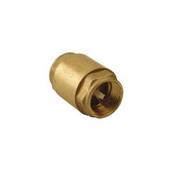 1" Spring Non Return Valve