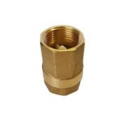 303 11/4" Spring  Non Return Valve