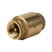 305 2 Inch Spring Non Return Valve (female)
