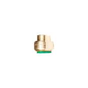 3/4" Tectite Stop End 351