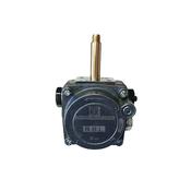 Firebird Riello G40 Oil Pump 20031996